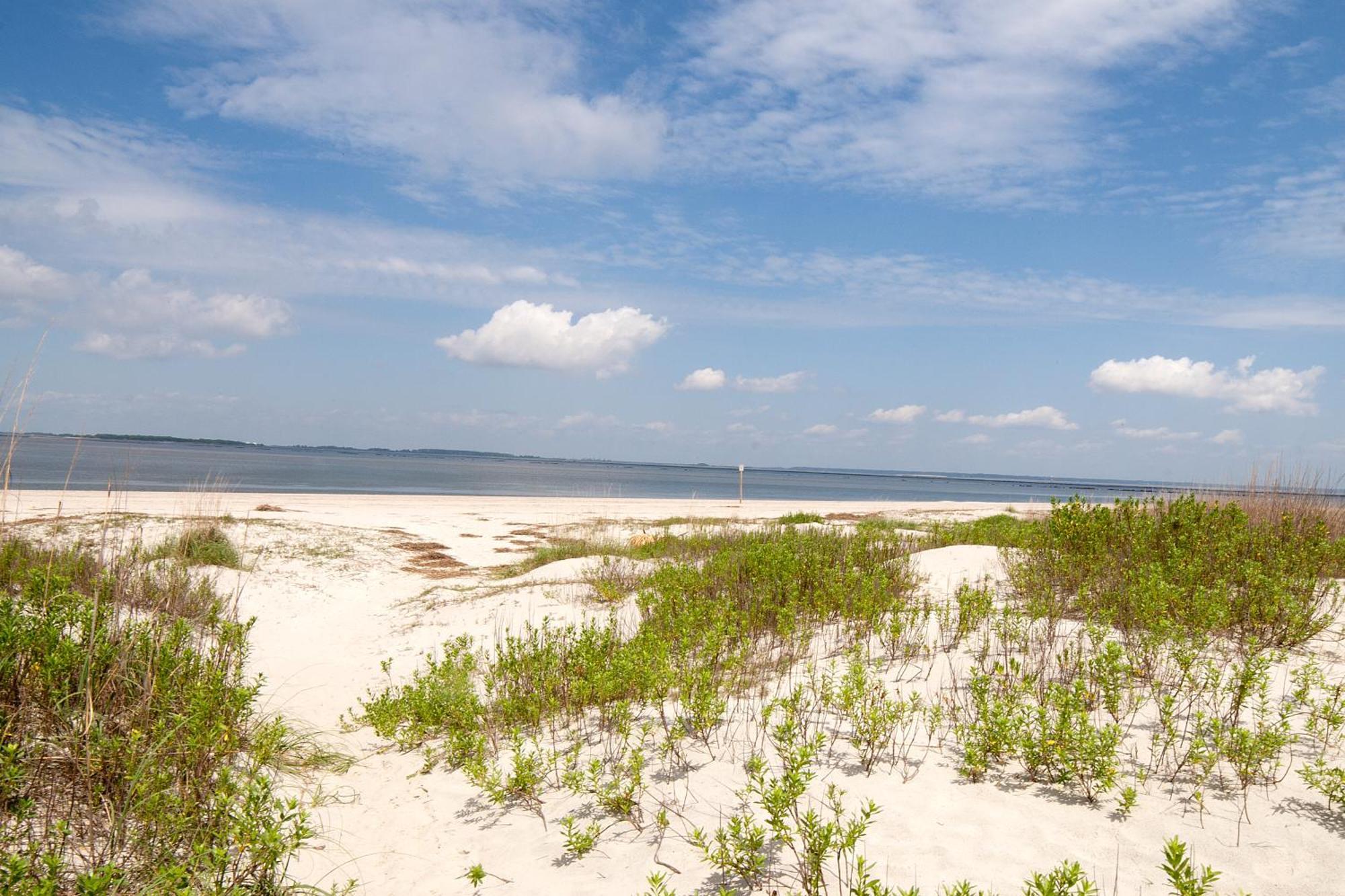 Desoto Beach Gardens 티베아일랜드 외부 사진